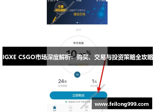 IGXE CSGO市场深度解析：购买、交易与投资策略全攻略