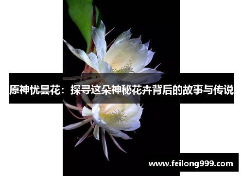 原神忧昙花：探寻这朵神秘花卉背后的故事与传说