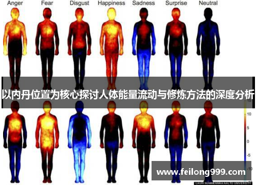 以内丹位置为核心探讨人体能量流动与修炼方法的深度分析